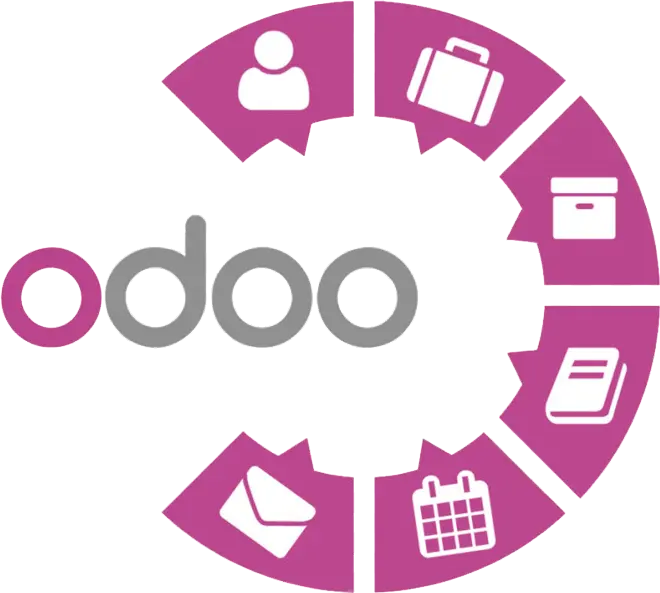 Odoo ERP Business Professional (Open Distance Learning program)